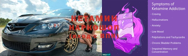 прущие грибы Корсаков