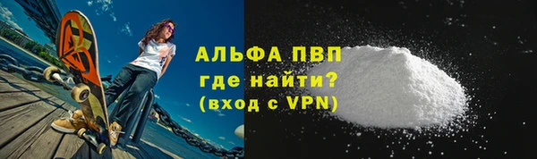 прущие грибы Корсаков