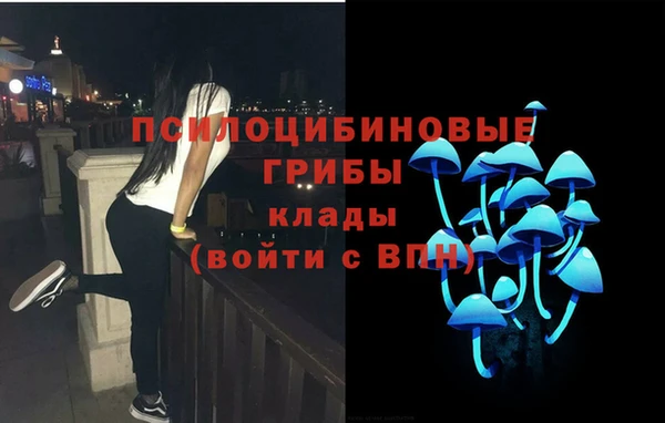 MESCALINE Коряжма