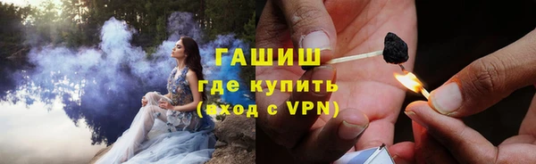 прущие грибы Корсаков
