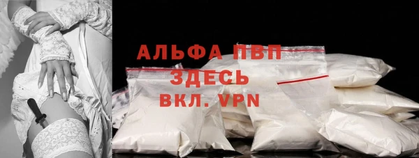 прущие грибы Корсаков