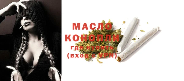 прущие грибы Корсаков