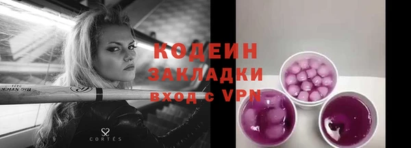 шишки Костерёво