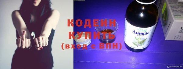 прущие грибы Корсаков