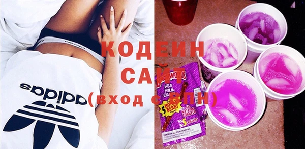 прущие грибы Корсаков