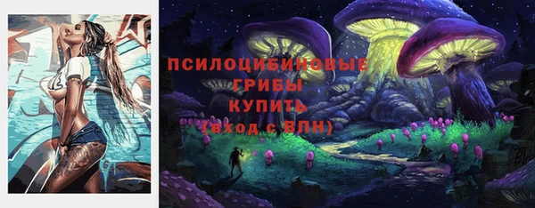 прущие грибы Корсаков