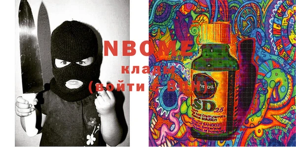 шишки Костерёво