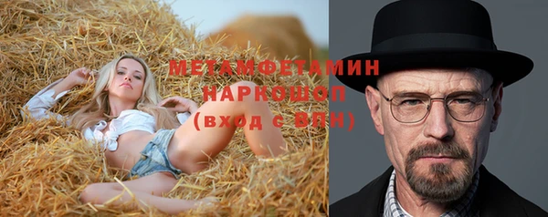 прущие грибы Корсаков