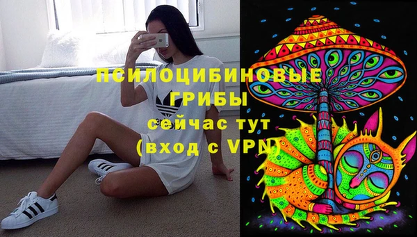 прущие грибы Корсаков