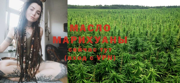 прущие грибы Корсаков