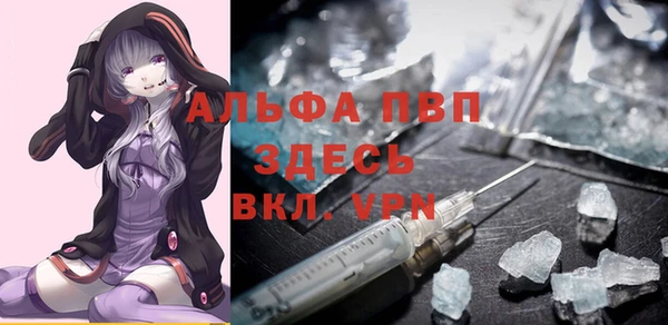 шишки Костерёво