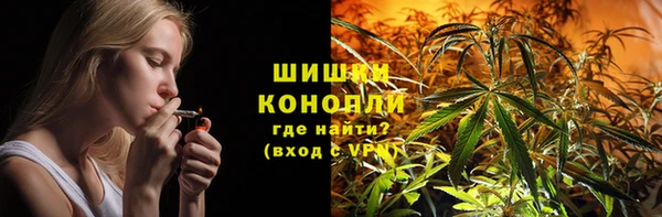 прущие грибы Корсаков
