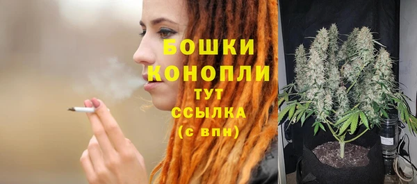 шишки Костерёво