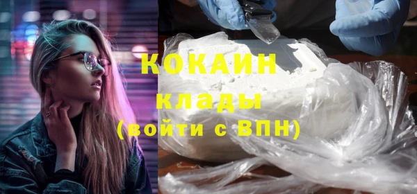 прущие грибы Корсаков
