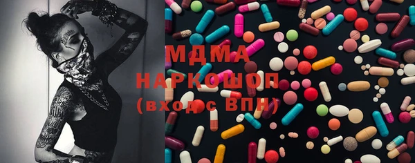 прущие грибы Корсаков
