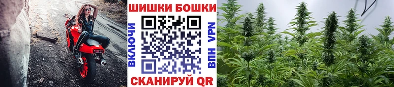 Конопля гибрид  Купить где  Ряжск 
